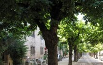 L'allée de saint antoine l'abbaye