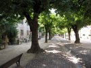 L'allée de saint antoine l'abbaye